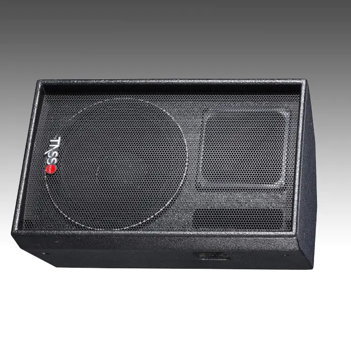 Stage Monitor Economical LPS12