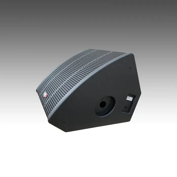 15inch 2-way  500W stage monitor